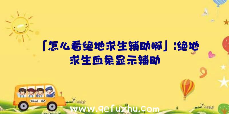 「怎么看绝地求生辅助啊」|绝地求生血条显示辅助